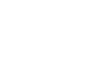 Logo Transport Pichon Florent