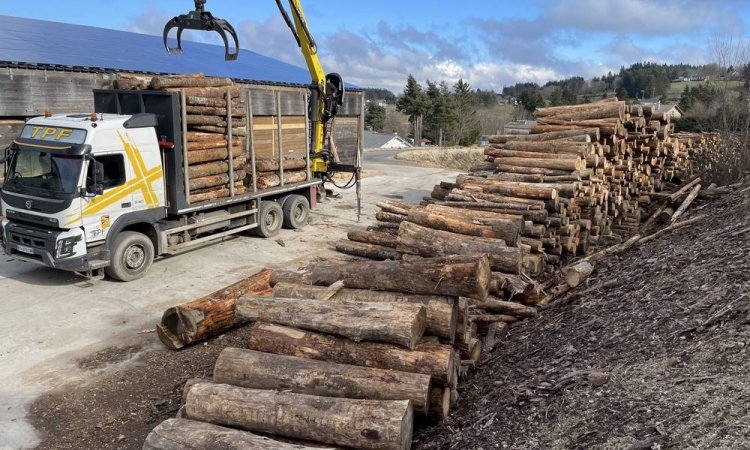 Transport bois - Yssingeaux - Transport Pichon Florent