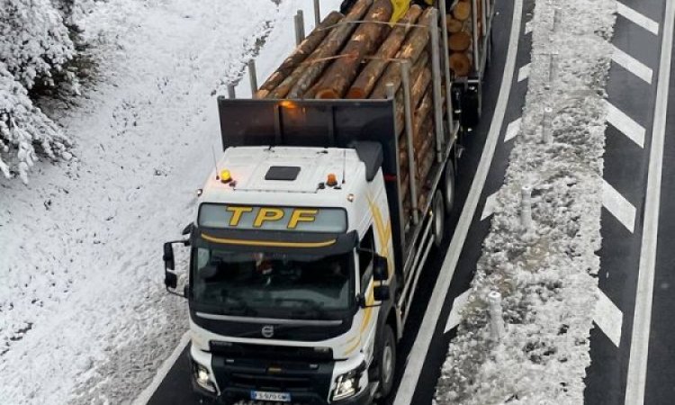 Transport bois - Yssingeaux - Transport Pichon Florent